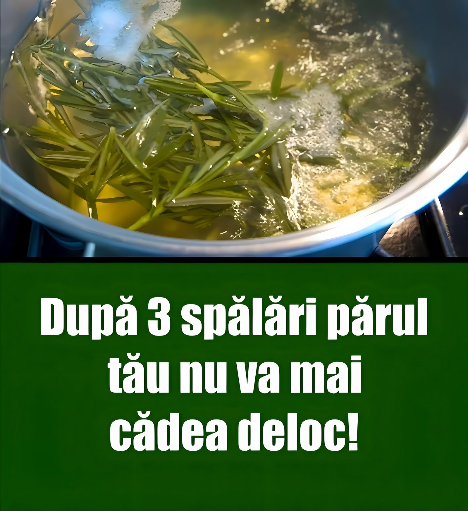 Fierbe această plantă și apoi spală-te pe cap cu ea! După 3 spălări PĂRUL TĂU NU VA MAI CĂDEA DELOC! Acesta este secretul vedetelor!