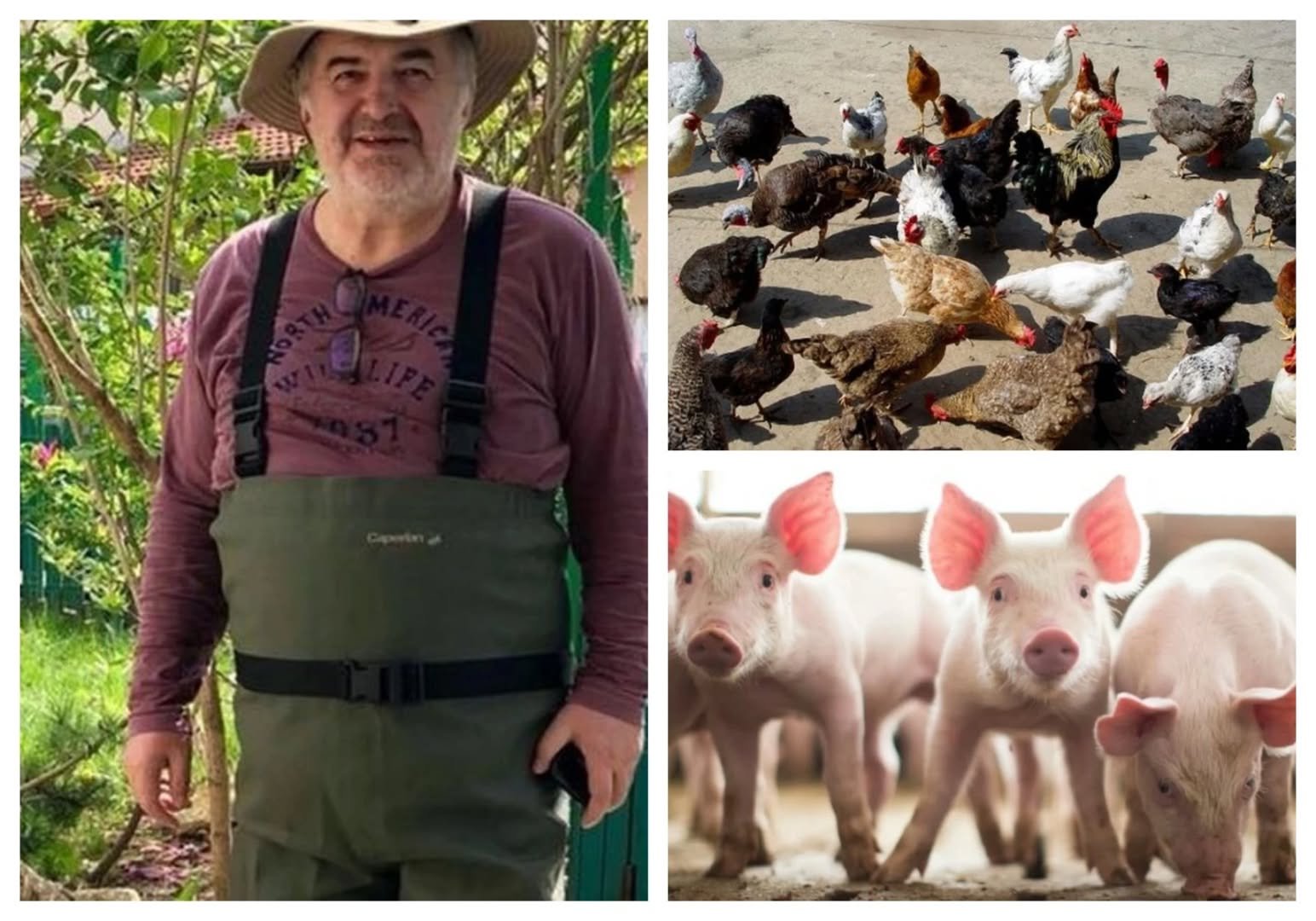 (Video) Florin Călinescu s-a transformat în fermier de succes! Gospodăria impresionantă a actorului: „83 de găini, 5 porci de Bazna, doi băieți și trei fete, 42 de bibilici, 9 gâște, doi câini lupi și doi Schnauzeri pitici. Am avut și capre cu iezi”